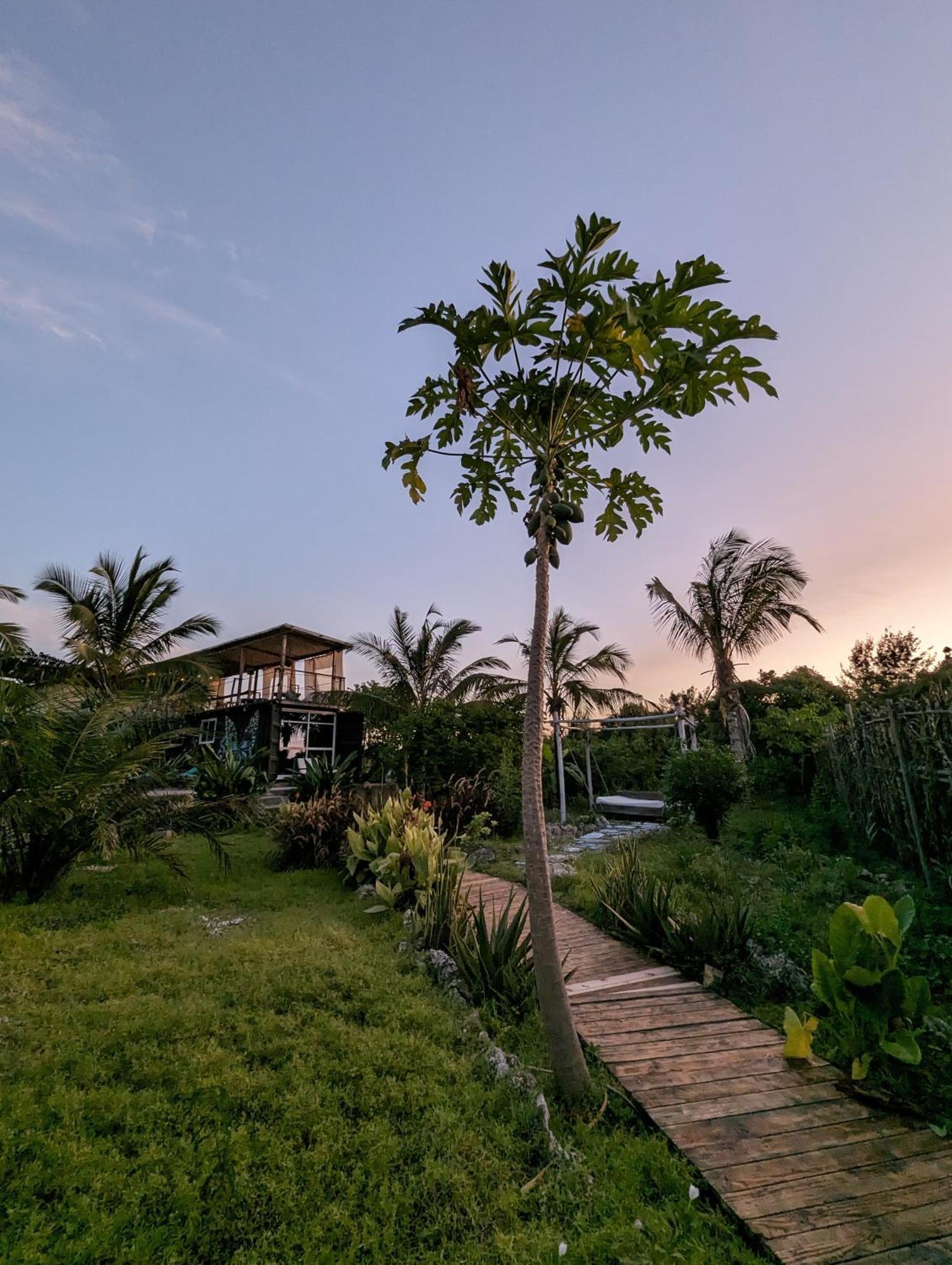 Jambiani Backpackers Hostel Εξωτερικό φωτογραφία