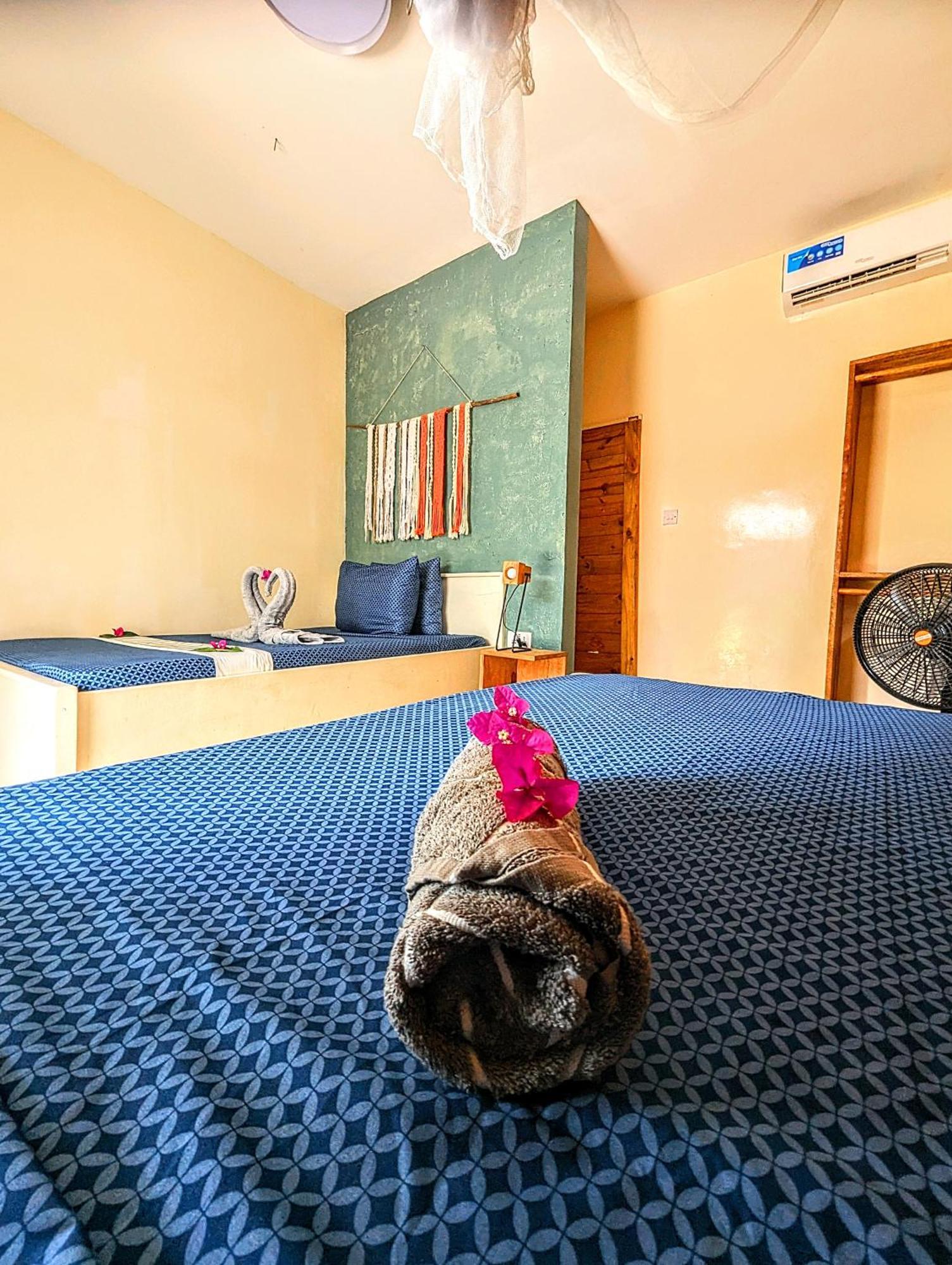 Jambiani Backpackers Hostel Δωμάτιο φωτογραφία