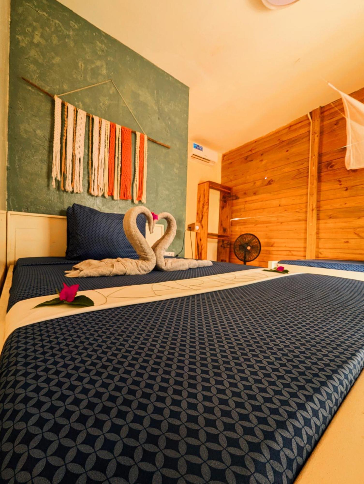 Jambiani Backpackers Hostel Εξωτερικό φωτογραφία